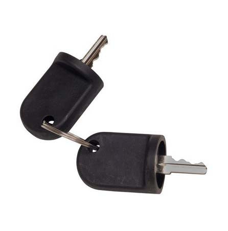 EZGO RXV Keys (Pair)